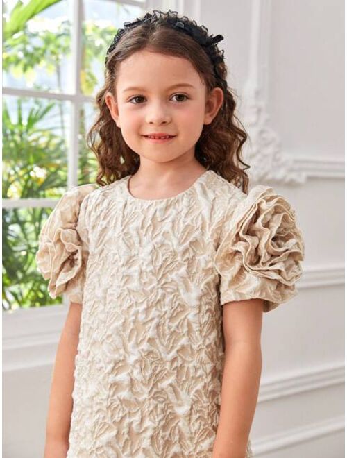 SHEIN Kids CHARMNG Toddler Girls Appliques Detail Jacquard Dress