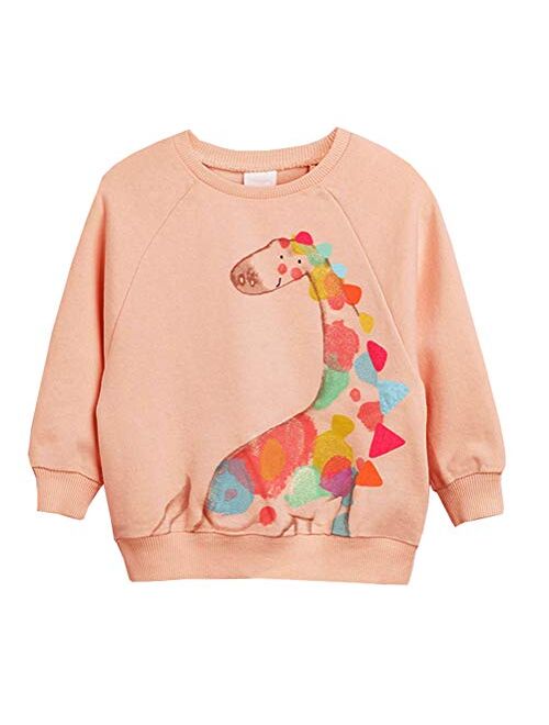 BGIRNUK Toddler Girls Boys Cotton Long Sleeve Pullover Sweatshirts Kids Dinosaur Printed Crewneck Tops