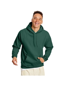 Big & Tall Hanes EcoSmart Hoodie Sweatshirt