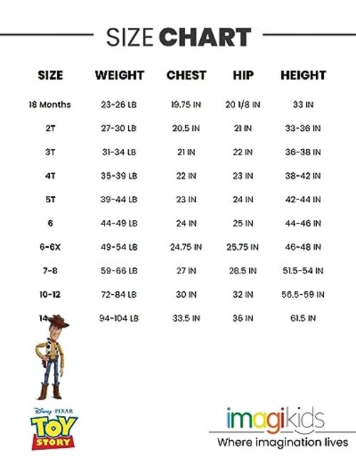 Disney Lion King Toy Story Frozen Mickey Mouse Moana Ariel Girls French Terry Fashion Pullover Sweatshirt Infant to Big Kid