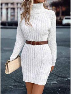 Priv Turtleneck Raglan Sleeve Sweater Dress