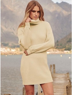 Oversized Sweaters Dress for Women Turtleneck Batwing Sleeve 2023 Fall Winter Casual Short Dress