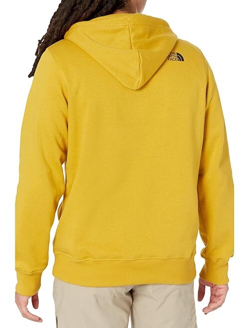 The North Face TNF Bear Pullover Hoodie