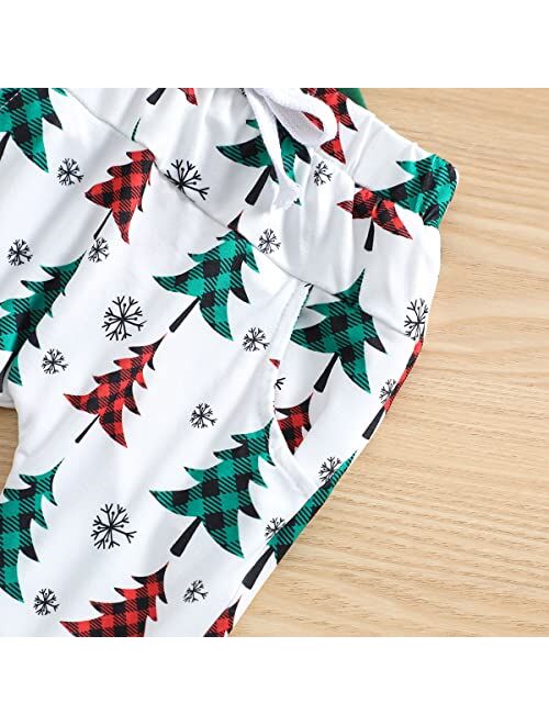 Ritatte Toddler Baby Boy Christmas Outfits Truck Long Sleeve Hoodie Sweatshirt Xmas Tree Pant 2Pcs Fall Winter Clothes Set
