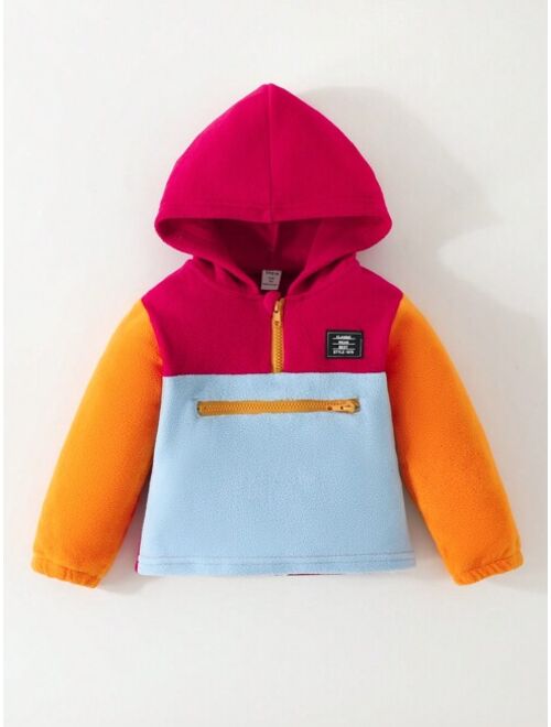 Young Boy Colorblock Letter Patched Detail Half Zip Hooded Thermal Lined Sweatshirt