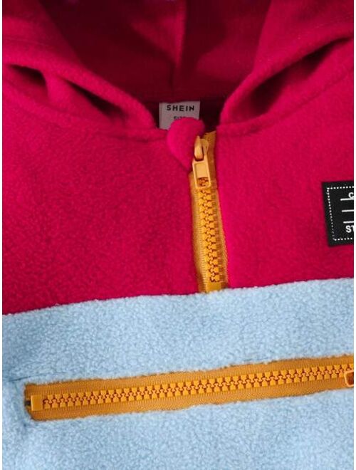 Young Boy Colorblock Letter Patched Detail Half Zip Hooded Thermal Lined Sweatshirt