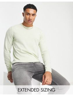 knitted cotton sweater in green