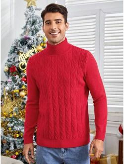 Men Turtleneck Cable Knit Sweater