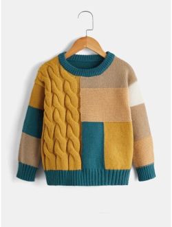 Shein Toddler Boys Color Block Drop Shoulder Cable Knit Sweater