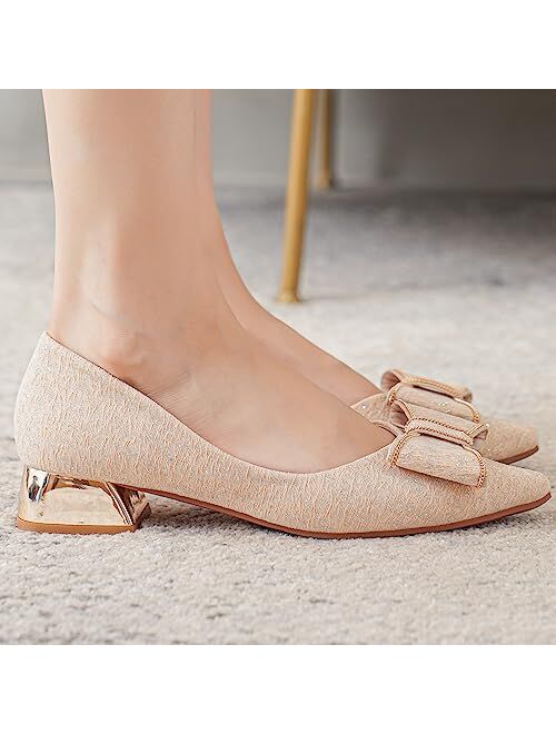 Danglianying Women's Low Block Chunky Heels Dress Shoes Pointed Toe Closed Toe Work Pumps Slip on Comfort Dress Shoes for Women