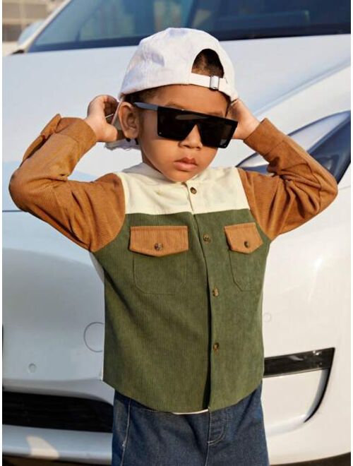 SHEIN Kids EVRYDAY Toddler Boys' Hooded Color-block Shirt