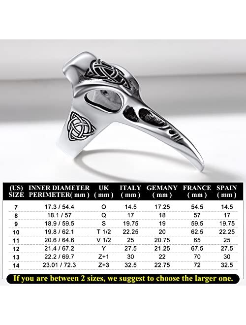 Richsteel Stainless Steel Viking Raven Crow Skull Ring for Men Women Gothic Norse Protection Jewelry(with Gift Box)