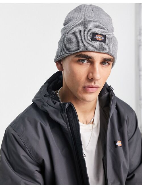 Dickies Gibsland beanie in gray