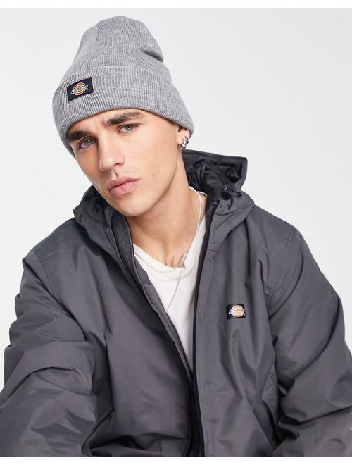 Dickies Gibsland beanie in gray