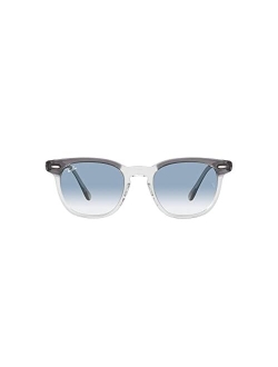 Unisex Polarized Sunglasses, RB2298 HAWKEYE