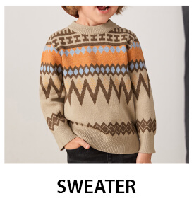 Sweater WinterWear for Boys